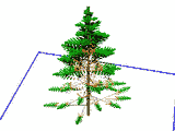 Tree Formation 1