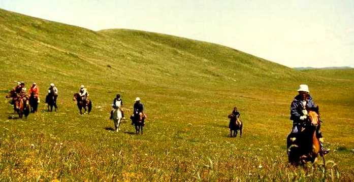 Field trip by horse