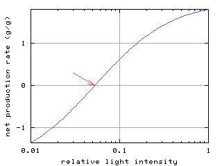 Net Production Rate