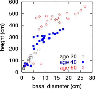 tree diameter vs height