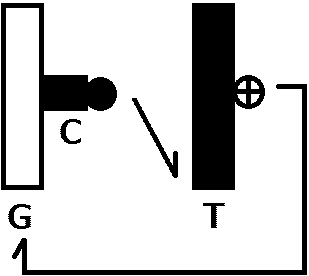 life cycle