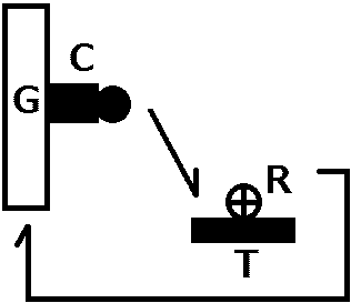 life cycle