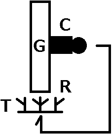 life cycle