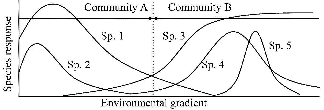 community concept