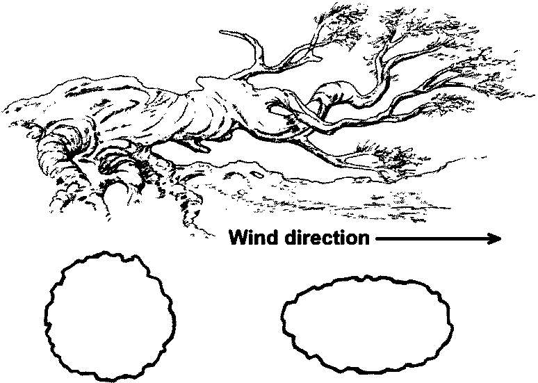 ST