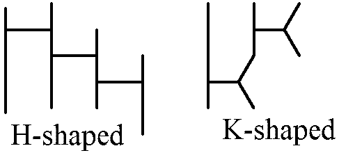 Zosterophyllales