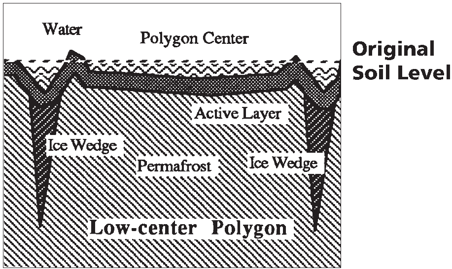 low-centered polygon