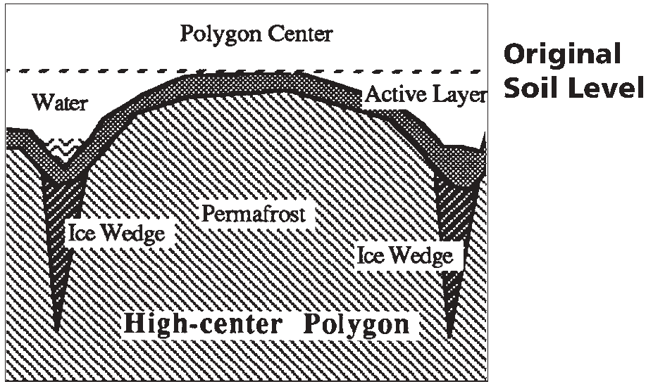 high-centered polygon