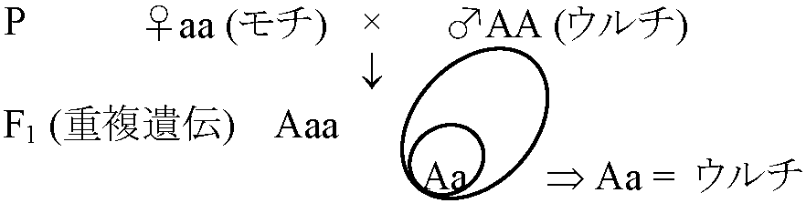 遺伝学