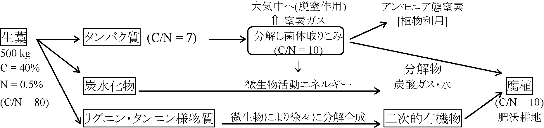 土壌形成過程