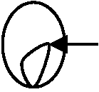 ST